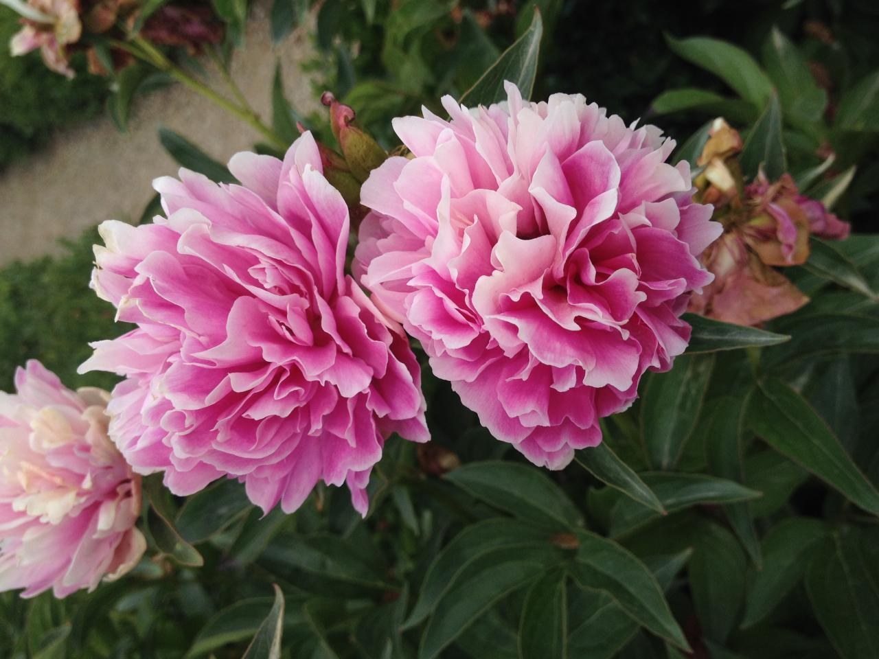 How To Make a Bucket List and Work Through It - Anything Goes Lifestyle How To Make a Bucket List and Work Through It - Anything Goes Lifestyle