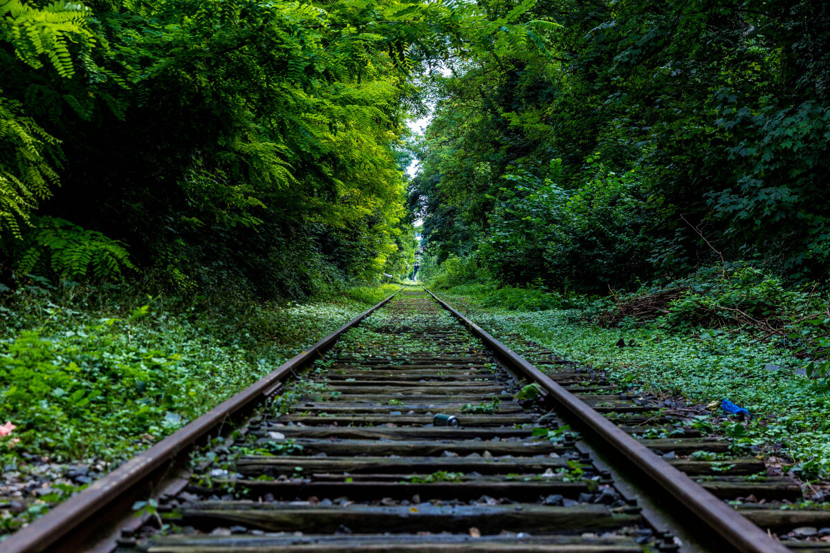 Free Images : tree, nature, forest, track, railway, railroad, sunlight ...